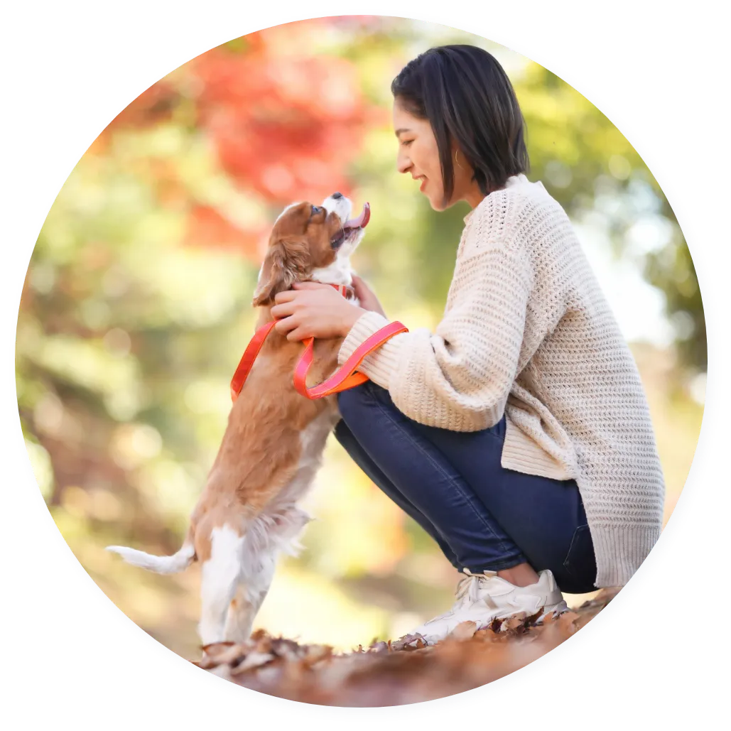 RYCKAペットクリニックが大切にしていること