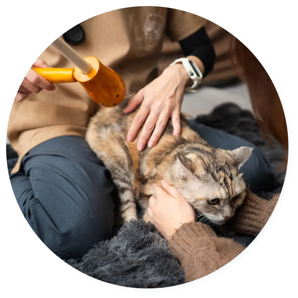 RYCKAペットクリニックが大切にしていること