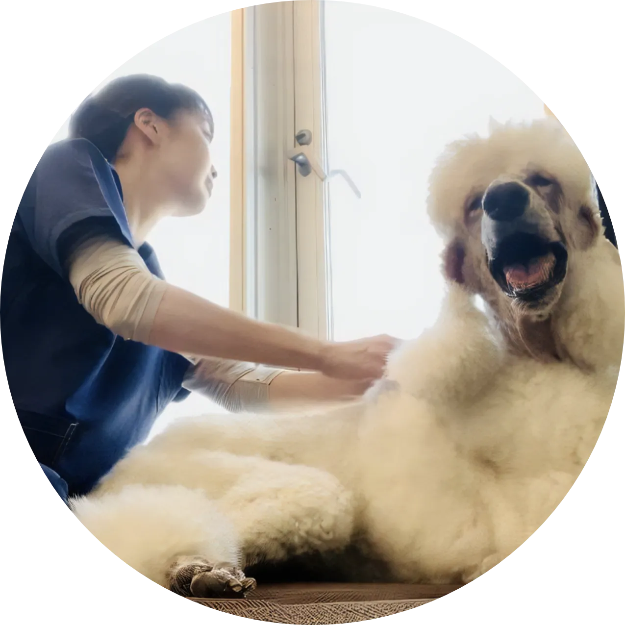 ご自宅へ往診する様子