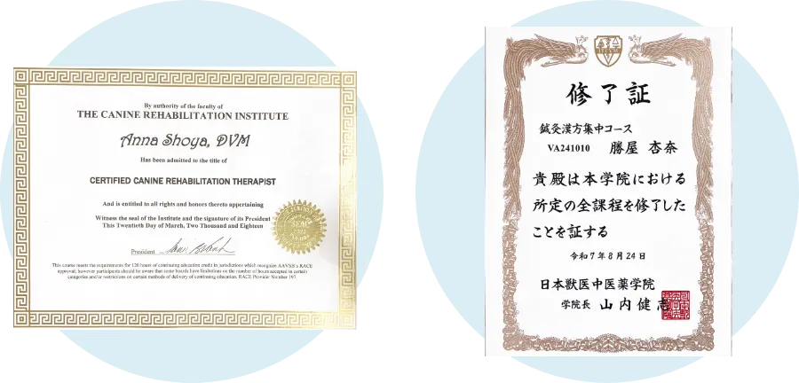 院長よりメッセージ